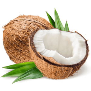 coconut